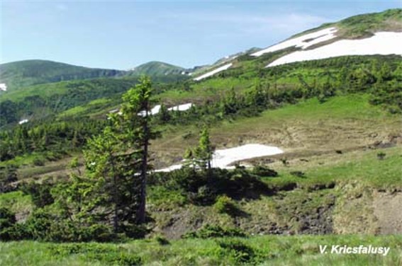 Image - A glacial pothole on the slopes of Mount Blyznytsia in the Svydivets mountain group.